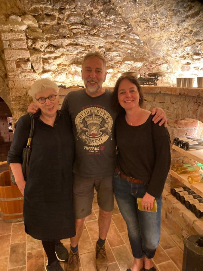 Pension Sunnseitn - Gasthof - Cafe - Weinkeller Haslach an der Mühl Екстериор снимка